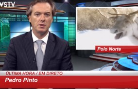 Pedro Pinto Natal